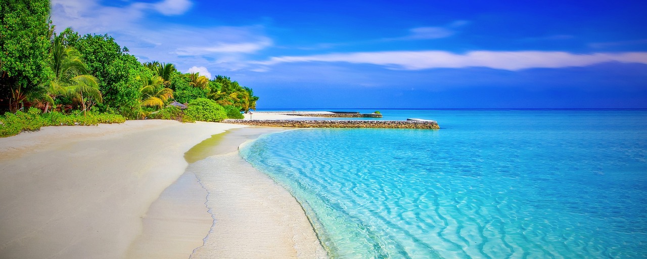 Gap Year Insurance for Early Retirement Readiness