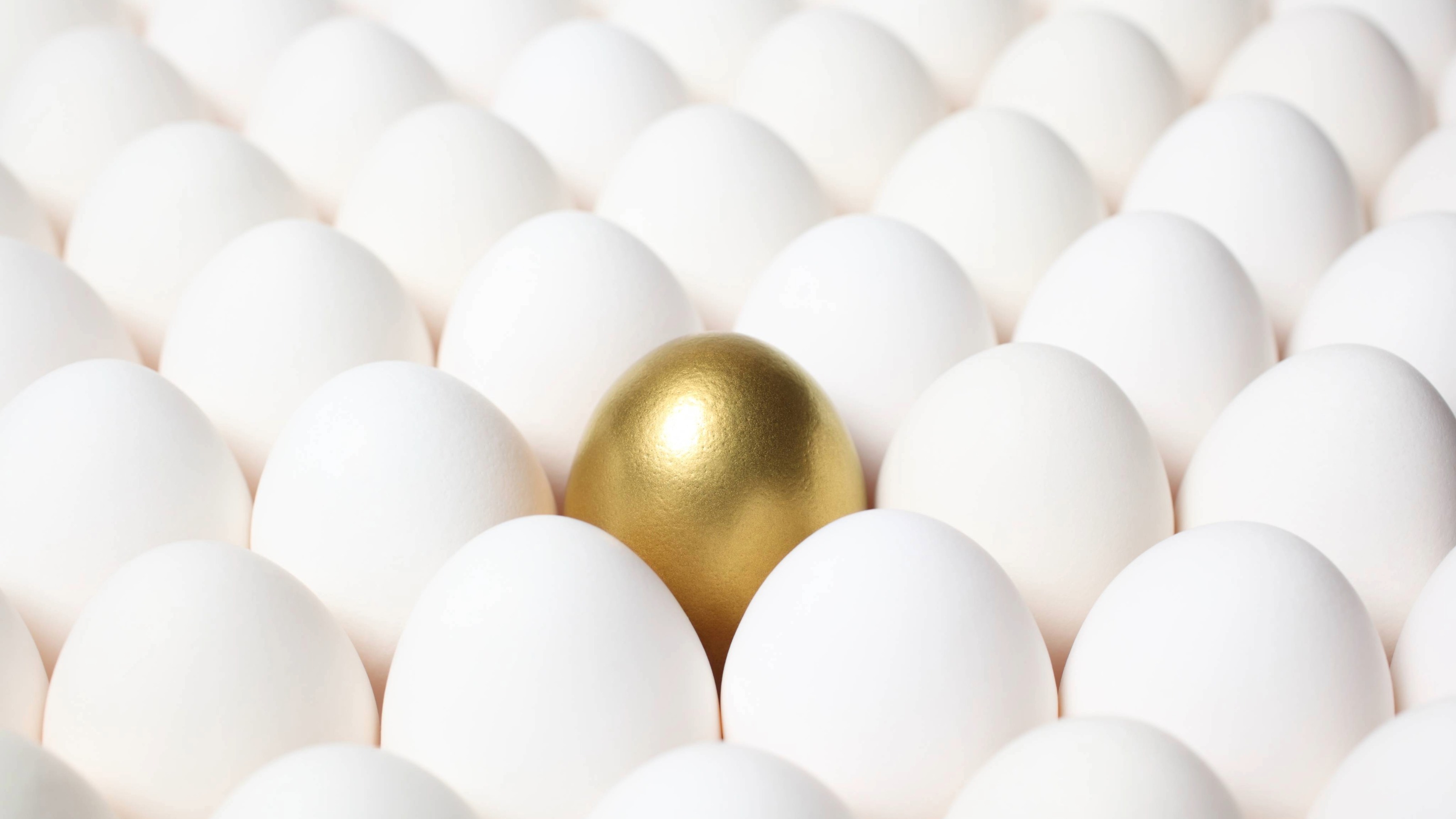 A single gold egg positioned among rows of white eggs in an egg carton.