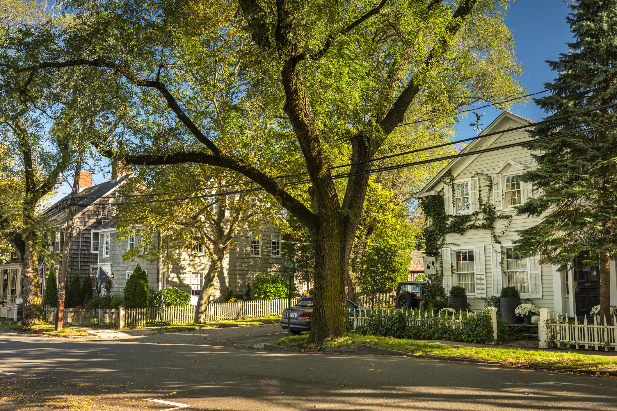 Victorian clapboard houses along a quiet, tree-lined Main Street in Sag Harbor.