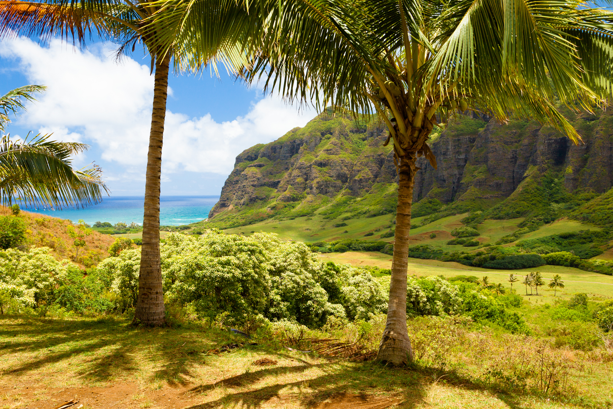 The lush green landscape of Ka'a'awa Valley in Oahu, Hawaii.