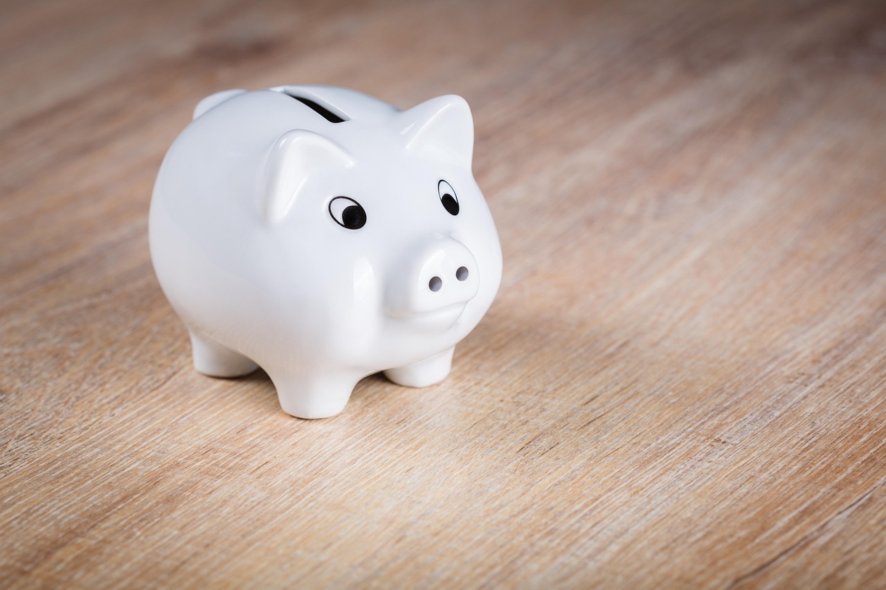 A piggy bank placed under a small umbrella reflecting the concept of an emergency fund.