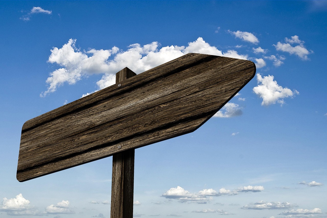A wooden signpost pointing in two different directions under a clear sky.